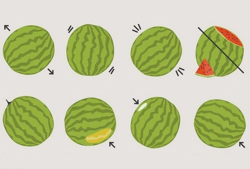 como escolher a melancia certa